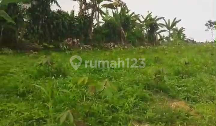 Dijual Tanah Murah dibawah 100Ribu Parakan Salak Sukabumi Dijual Tanah Murah dibawah 100Ribu Parakan Salak Sukabumi