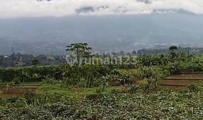 For Sale: Cheap Land with Mount Salak View, Ciambar Sukabumi For Sale: Cheap Land with Mount Salak View, Ciambar Sukabumi