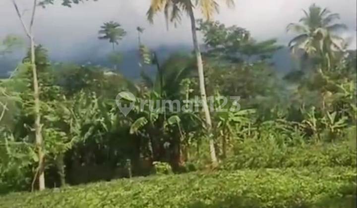 Dijual Tanah Cocok untuk Agrowisata atau Investasi Jangka Panjang di Cidahu Sukabumi Dijual Tanah Cocok untuk Agrowisata atau Investasi Jangka Panjang di Cidahu Sukabumi