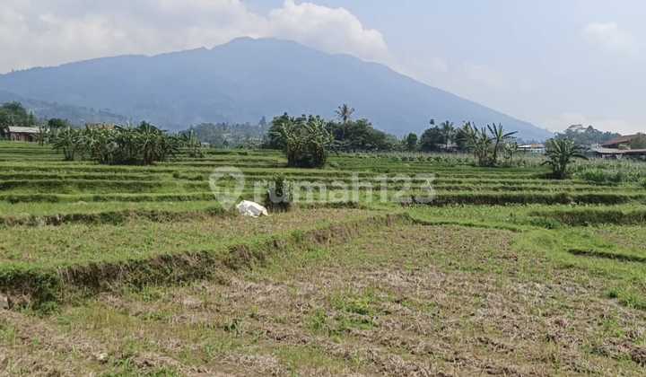 Dijual tanah cocok untuk agrowisata, view gunung salak cidahu sukabumi