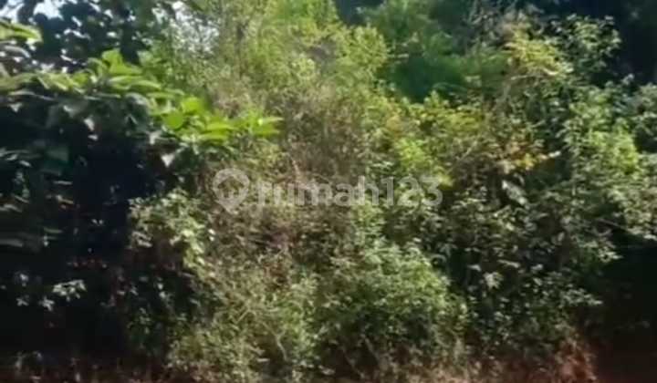 Tanah Cocok untuk Perumahan & Wisata Cikidang Sukabumi