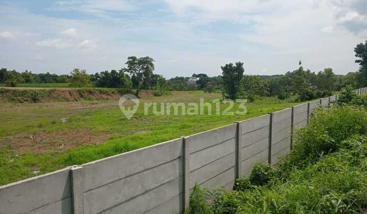 Murah Dijual Tanah Komersil di Dawarblandong, Mojokerto