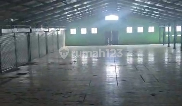 Rarely Are There Warehouses for Rent in Gedangan. Near Waru Buduran Sidoarjo Rarely Are There Warehouses for Rent in Gedangan. Near Waru Buduran Sidoarjo