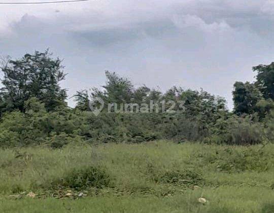 Murah Dijual Tanah Industri Jln Raya Manyar Gresik Dkt Tol Jiipe 1