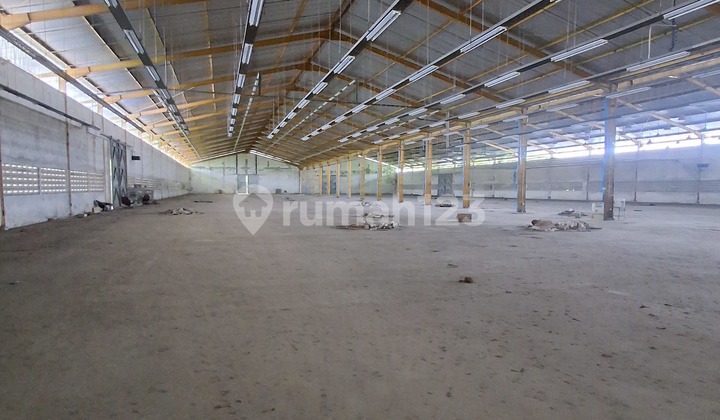 Cheap Warehouse for Rent with Loading Dock Tambak Sawah, Waru, Sidoarjo Cheap Warehouse for Rent with Loading Dock Tambak Sawah, Waru, Sidoarjo