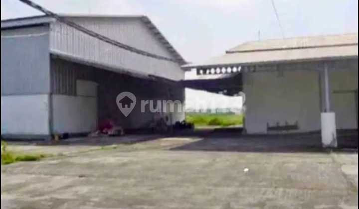 Warehouse Ex Factory for Sale on Jalan Raya Babat, Pucuk, Lamongan