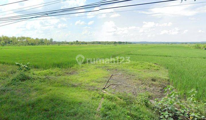 Jarang Ada Dijual Tanah Pier Pasuruan Kawasan Berikat Dkt Tol 2