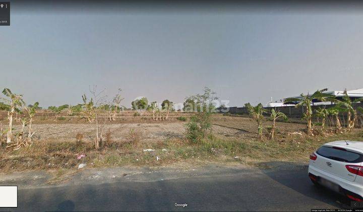 Dijual Tanah Komersial Jalan Raya Mantup, Lamongan UMR Rendah 2