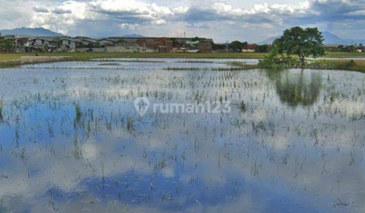 Dijual Tanah Murah Di Bojong Soang  3
