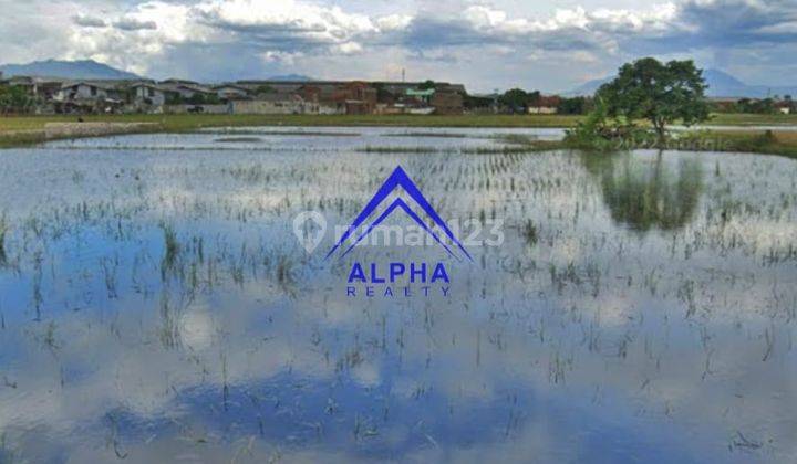 Dijual Tanah Murah Di Bojong Soang  6