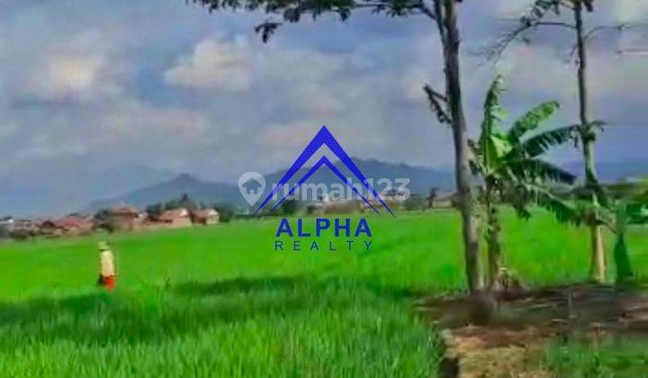 Dijual Tanah Murah Di Bojong Soang  8