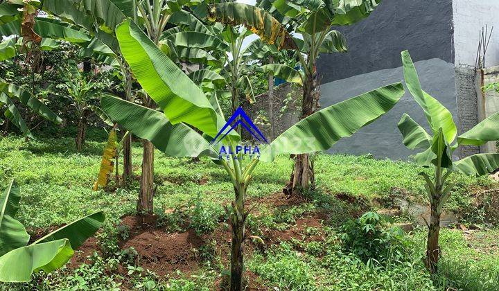 Dijual Tanah Murah Dan Bagus Di Padasuka Bandung 7