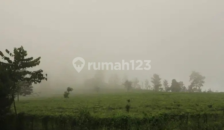 Jual Rumah Villa Nyaman Asri, Ciater, Subang, Jawa Barat 13