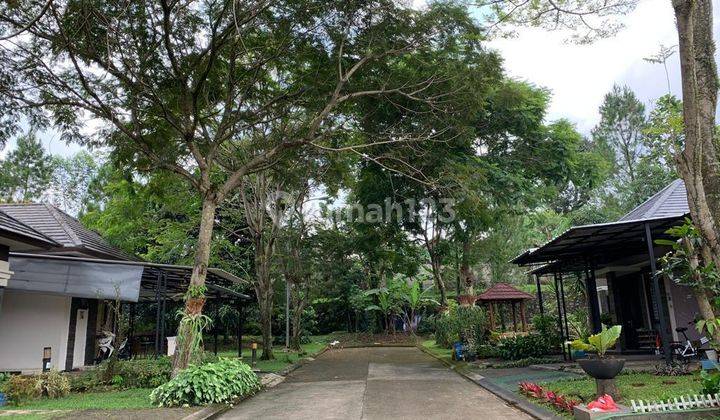 Rumah Minimalis Lingkungan Sejuk Dan Hijau di Sentul, Bogor 1