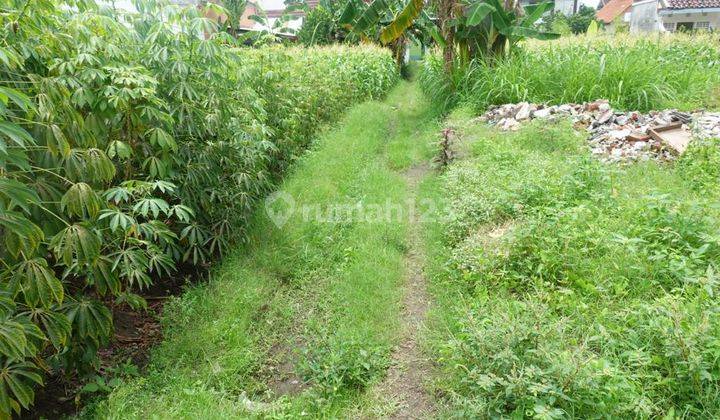 Tanah Pekarangan, Dekat Kota Jogja di Kotagede  12