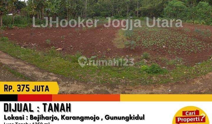 Tanah Luas , Hook di Karangmojo Gunung Kidul  1