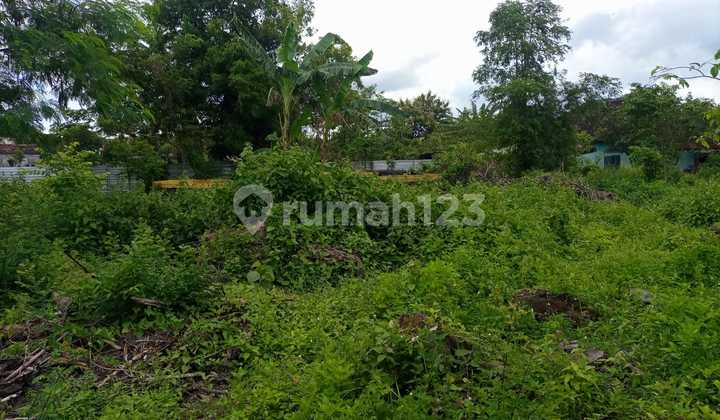 Tanah Pekarangan Luas, Hook, Papasan Mobil, di Prambanan 3