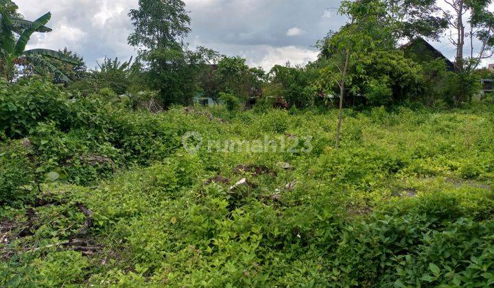 Tanah Pekarangan Luas, Hook, Papasan Mobil, di Prambanan 9