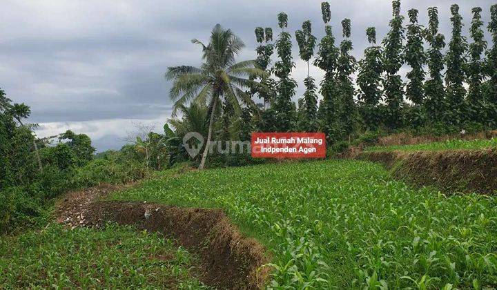 Dijual Tanah Murah Luas di Bokor Tumpang Kab. Malang  2
