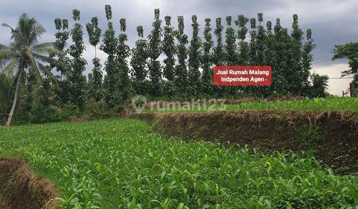 Dijual Tanah Murah Luas di Bokor Tumpang Kab. Malang  4