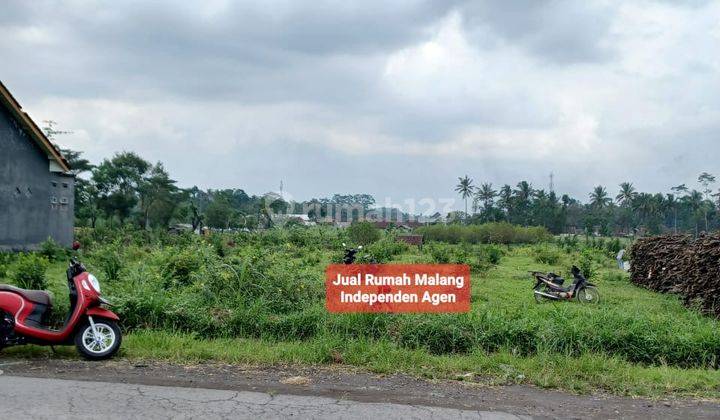 Dijual Tanah Murah Luas di Wajak Kab. Malang, di Poros Jalan Desa 15mtr Poros Jalan Provinsi legalitas SHM 1