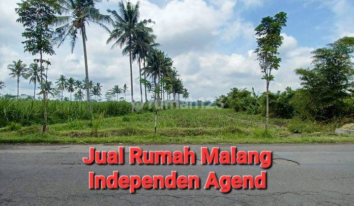 Dijual Tanah Murah luas di Poros jalan Raya Wajak Kab. Malang  1