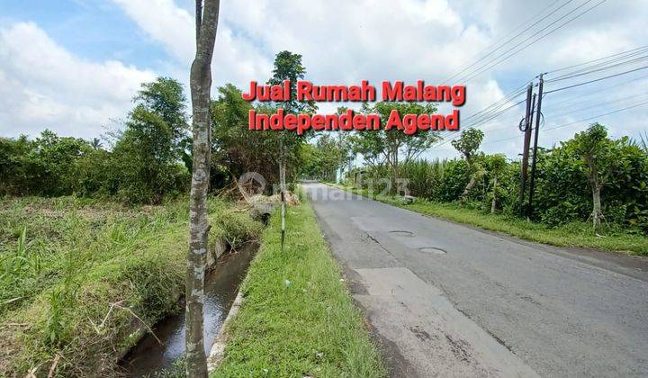Dijual Tanah Murah luas di Poros jalan Raya Wajak Kab. Malang  2