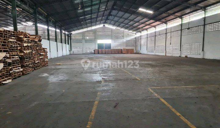 Gudang Taman Murah Sidoarjo Dav.ya2455