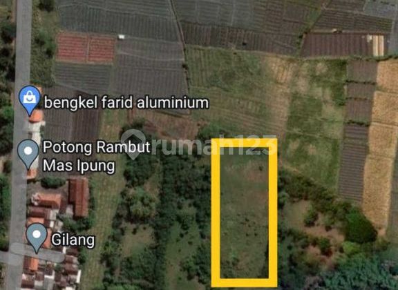 Tanah Desa Tamansari Dringu Probolinggo Murah. Fer.a393 1