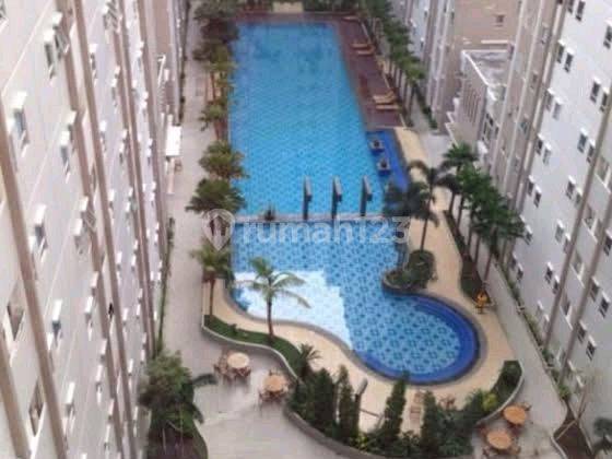 Apartemen Puncak Kertajaya 3br Murah. Siu.a228 2