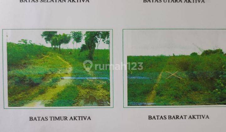 di Tanah Luas Sukadana Lampung , Lampung Timur 3