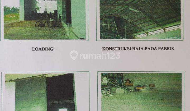 di Tanah Luas Sukadana Lampung , Lampung Timur 4