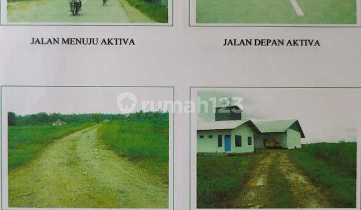 di Tanah Luas Sukadana Lampung , Lampung Timur 5