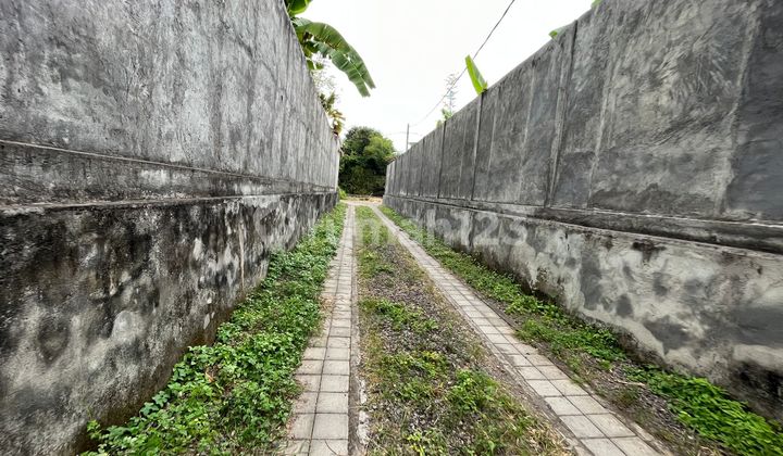 Tanah Sanur 600 Meter Ke Pantai Muara 10