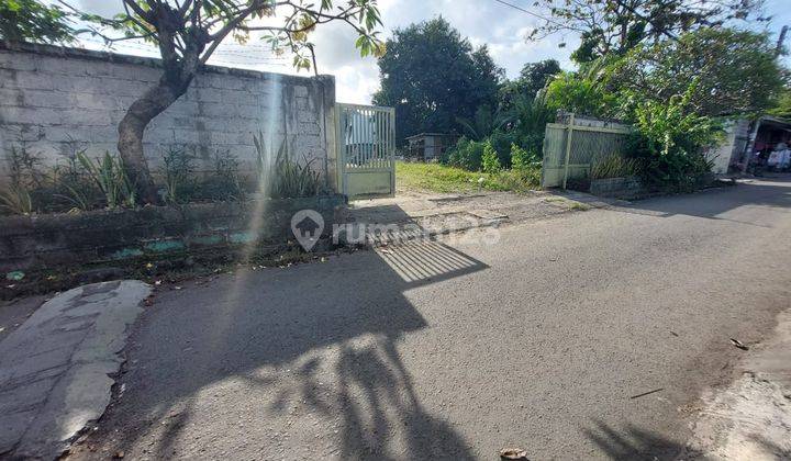 Tanah Kosong Cocok Untuk Perumahan, Daerah Tuban 5