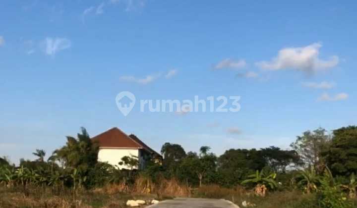 Tanah Murah Kecil Link Perumahan Dan Lokasi Tenang 2