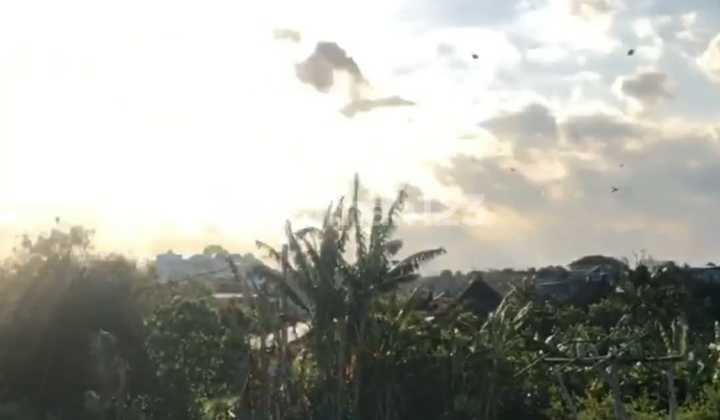 Tanah Murah Kecil Link Perumahan Dan Lokasi Tenang 3