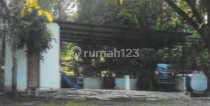 Di Jual PERKEBUNAN JONGGOL di Desa Mekarsari,Kec. Cikalong Kulon Kab Cianjur Jawa Barat Di Jual PERKEBUNAN JONGGOL di Desa Mekarsari,Kec. Cikalong Kulon Kab Cianjur Jawa Barat