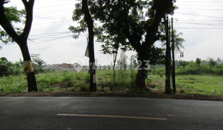 Dijual Tanah Luas Cocok Untuk Usaha Lokasi Di Banjar Agung, Lampung Dijual Tanah Luas Cocok Untuk Usaha Lokasi Di Banjar Agung, Lampung