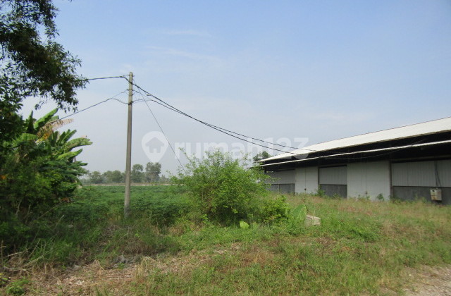 Dijual Tanah Beserta Bangunan Lokasi Di Jl, Lintas Sumatra, Gunung Sugih, Lampung Tengah Dijual Tanah Beserta Bangunan Lokasi Di Jl, Lintas Sumatra, Gunung Sugih, Lampung Tengah