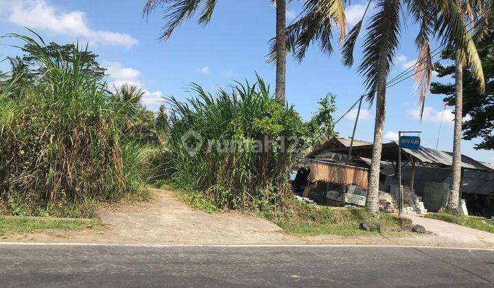 TANAH DI JL.RAYA SANGEH, PETANG - BADUNG, BALI SHM 31 ARE, MURAH 4