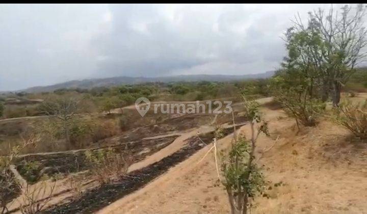 Tanah di Kubutambahan Buleleng Bali Utara 51000 HGB m² 5