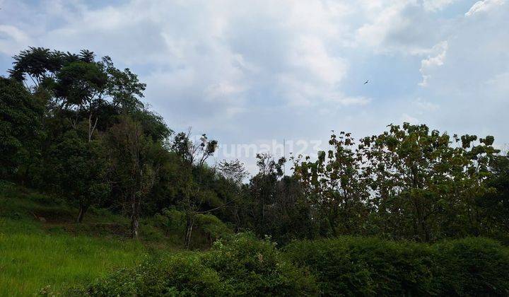 Tanah Kebun Cengkeh 3.4 Ha Hambalang Sentul 1