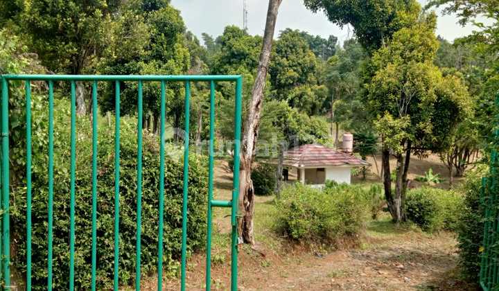 Tanah Kebun di Kp Cikahalang Hambalang Bogor