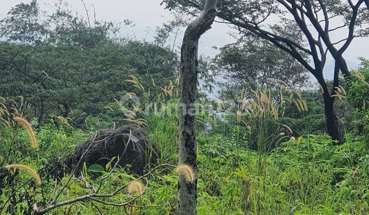 Kavling Di Bukit Pelangi Rainbow Hills Kavling Di Bukit Pelangi Rainbow Hills