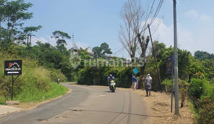 Tanah Kebun 3.4 Ha Hambalang Sentul Cocok untuk Tempat Retreat, Usaha dan Perkebunan