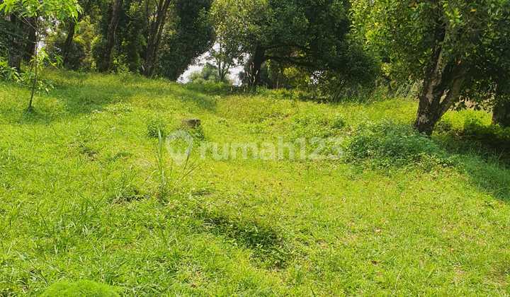 Clove Garden Land 3.4 Hectares Hambalang Sentul