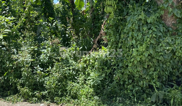 Tanah di Jalan Permana Citeureup, Cimahi SHM 366 m² 3