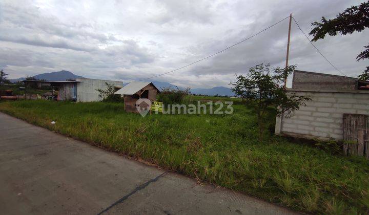 Jual Tanah Murah Area Rancaekek Akses Mobil 4