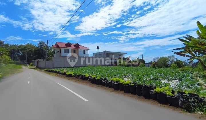 Jual Tanah Nempel Setiabudi Regensi Luas 120M2 Jual Tanah Nempel Setiabudi Regensi Luas 120M2